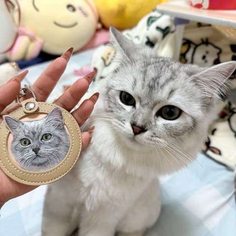 A silver tabby kitten beside its cream leather medallion