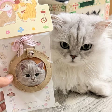 A silver kitten with its cream leather medallion on a gift card