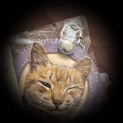 Sleeping tabby cat