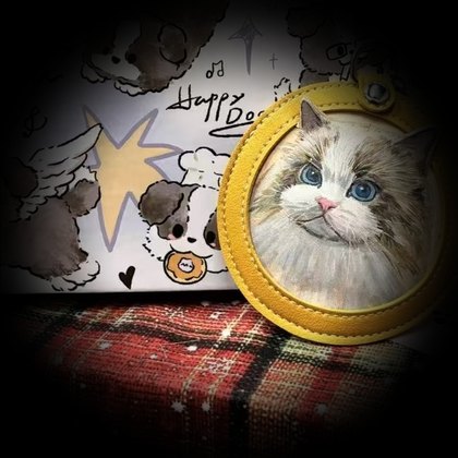 Ragdoll cat with packaging card