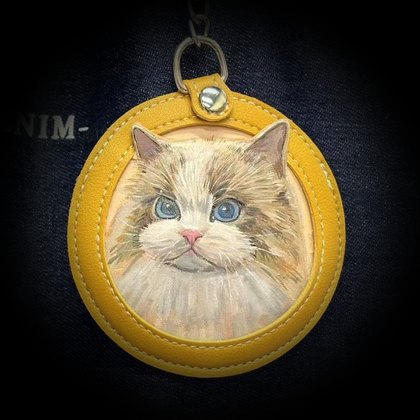 Blue-eyed ragdoll in a yellow frame